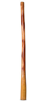Gloss Finish Flared Didgeridoo (TW940)
